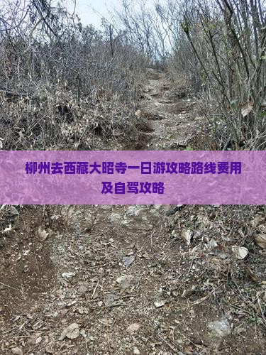 柳州去西藏大昭寺一日