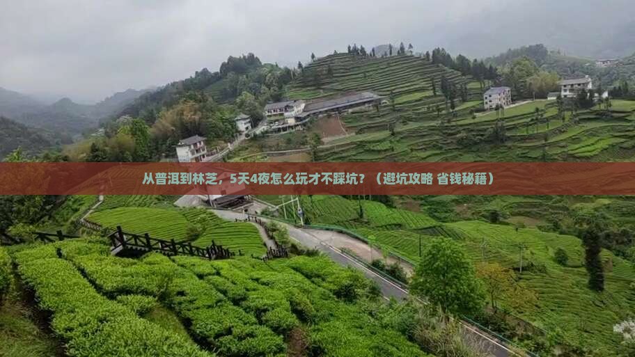 普洱去西藏林芝自由行
