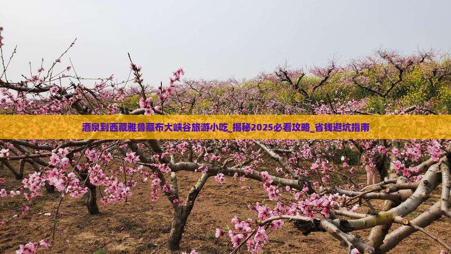 酒泉到西藏雅鲁藏布大峡谷旅游小吃