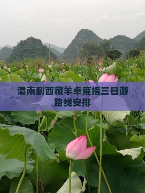 渭南到西藏羊卓雍措三日游