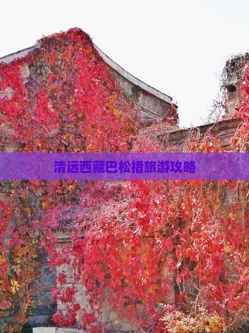 清远到西藏巴松措景点