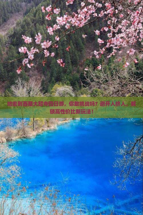 哈密到西藏大昭寺四日游