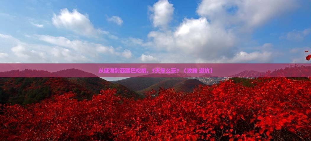 威海到西藏巴松措旅行社