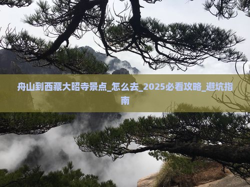 舟山到西藏大昭寺景点