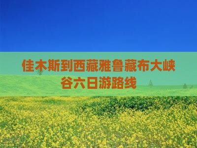 佳木斯到西藏雅鲁藏布大峡谷六日游