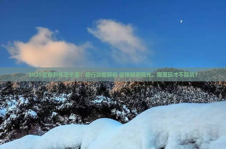 宜春到西藏林芝哪里玩