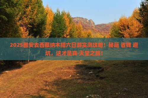 雅安去西藏纳木措六日游