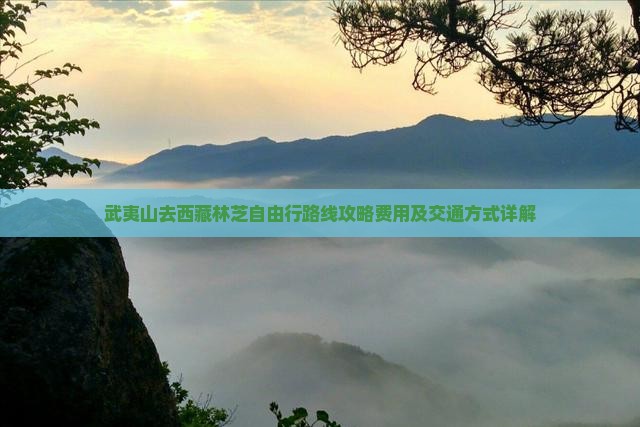 武夷山去西藏林芝自由行