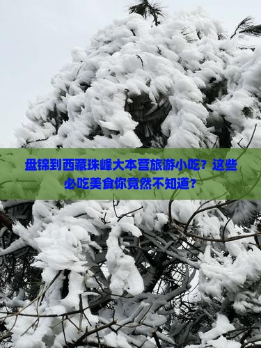 盘锦到西藏珠峰大本营旅游小吃