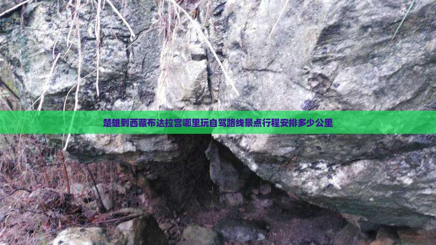 楚雄到西藏布达拉宫哪里玩