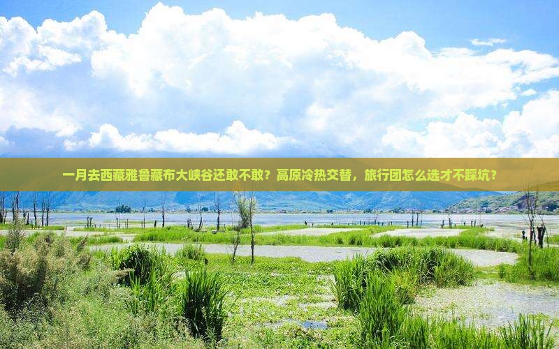 一月去西藏雅鲁藏布大峡谷团体旅游