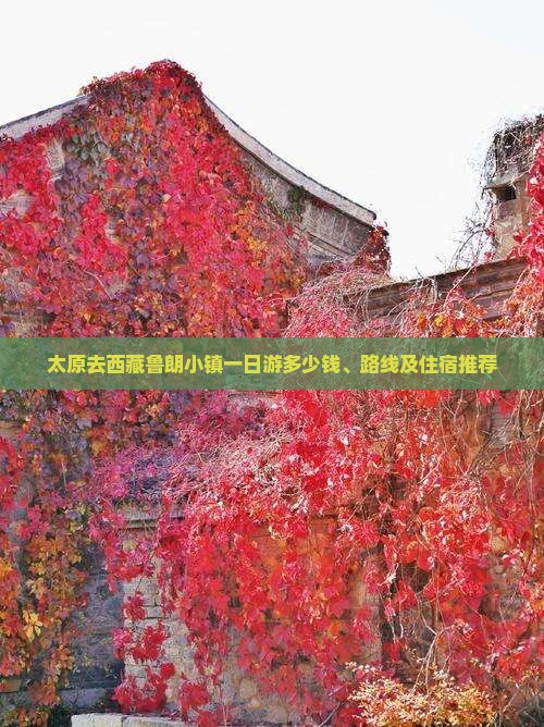 太原去西藏鲁朗小镇一日