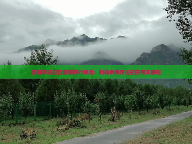 阿勒泰到西藏布达拉宫旅行社
