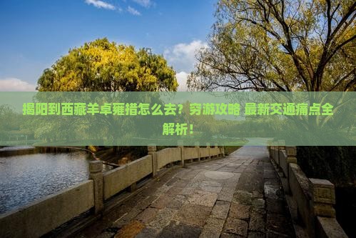 揭阳到西藏羊卓雍措旅行社