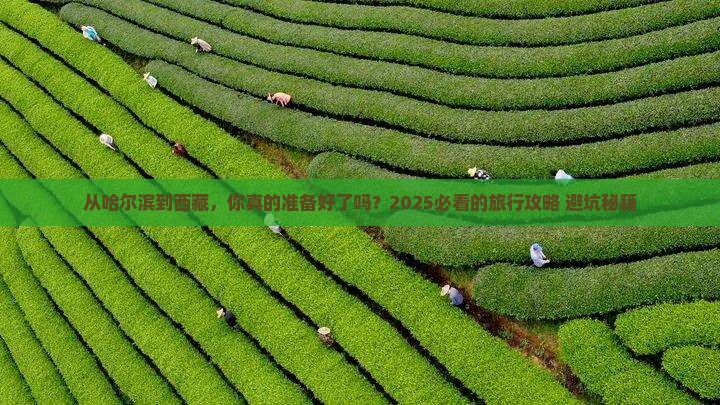 哈尔滨去西藏旅游