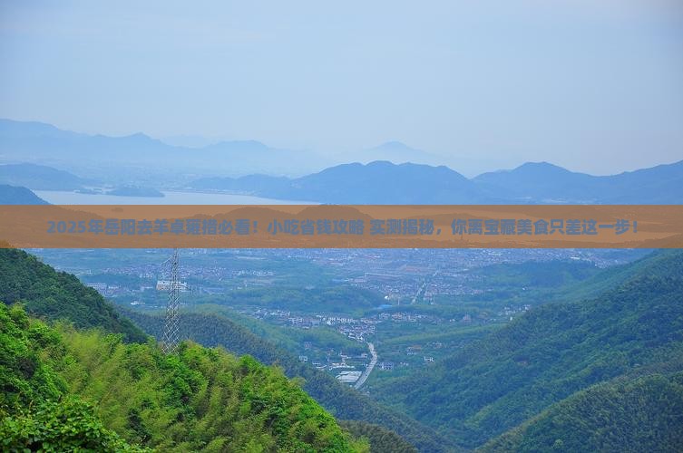 岳阳去西藏羊卓雍措旅游小吃