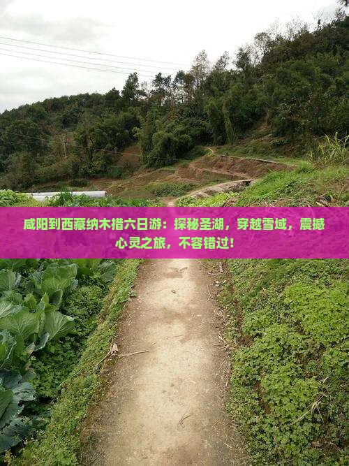 咸阳到西藏纳木措六日游