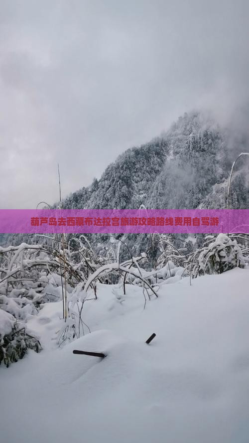 葫芦岛去西藏布达拉宫旅游