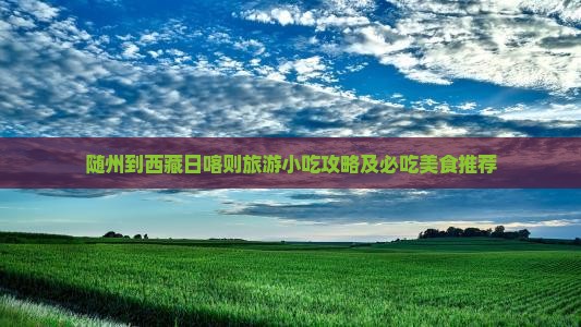 随州到西藏日喀则旅游小吃
