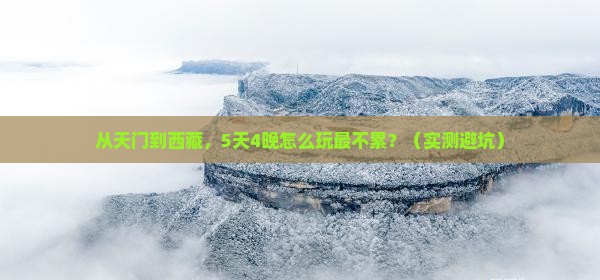 天门到西藏旅行社