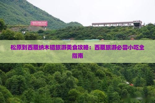 松原到西藏纳木措旅游小吃