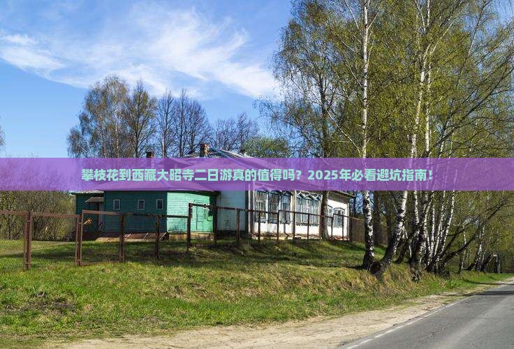 攀枝花到西藏大昭寺二日游