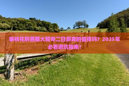 攀枝花到西藏大昭寺二日游