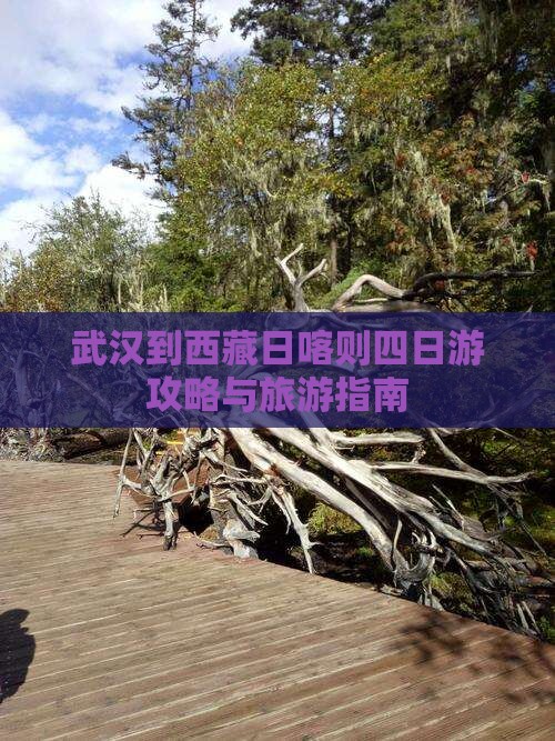 武汉到西藏日喀则四日游