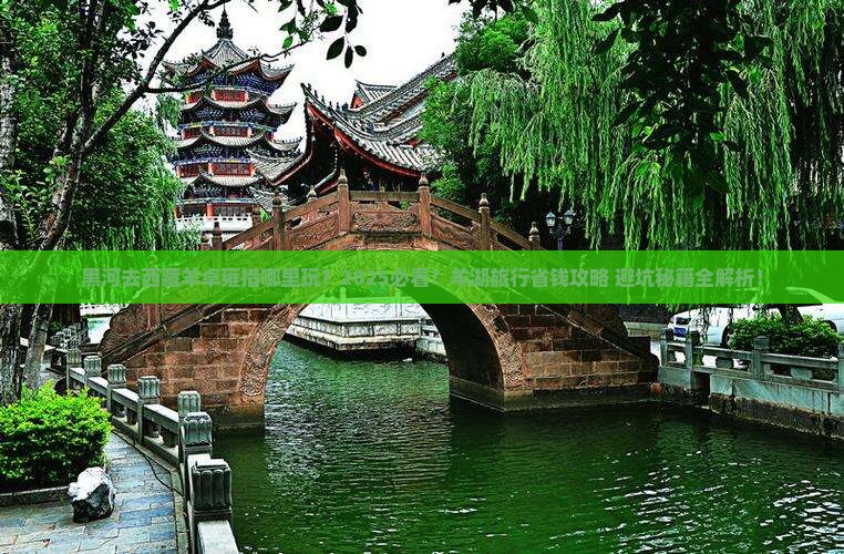 黑河去西藏羊卓雍措哪里玩