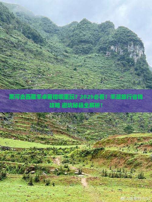 黑河去西藏羊卓雍措哪里玩