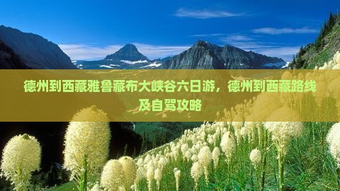 德州到西藏雅鲁藏布大峡谷六日游