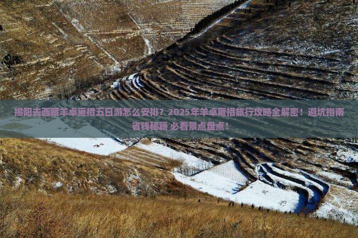 揭阳去西藏羊卓雍措五日游