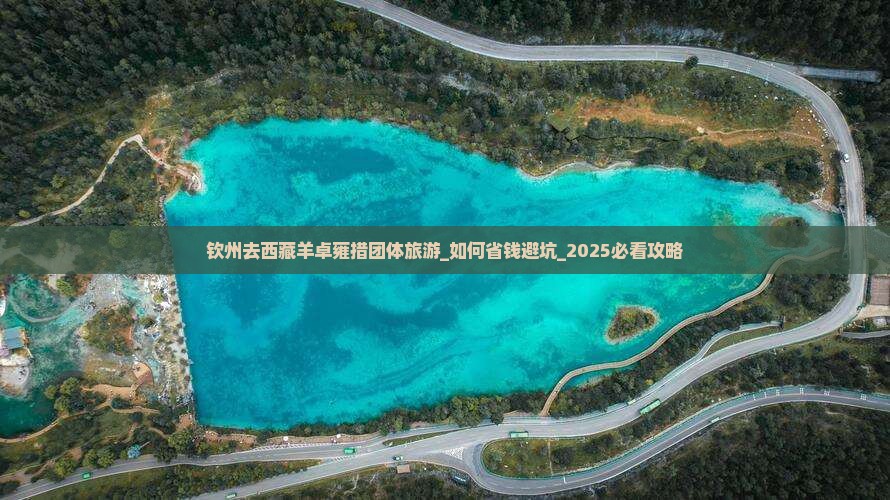 钦州去西藏羊卓雍措团体旅游