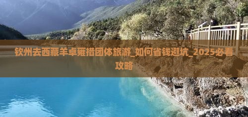 钦州去西藏羊卓雍措团体旅游