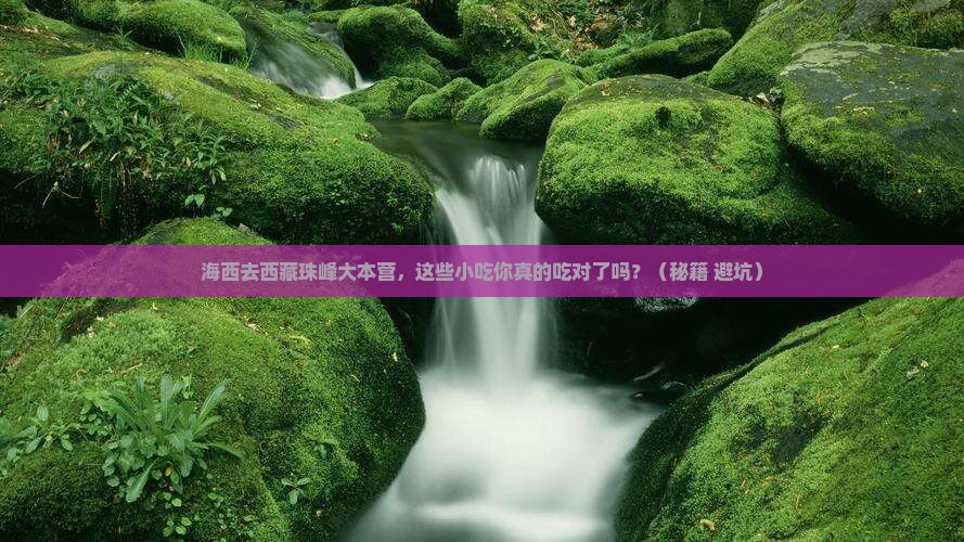 海西去西藏珠峰大本营旅游小吃
