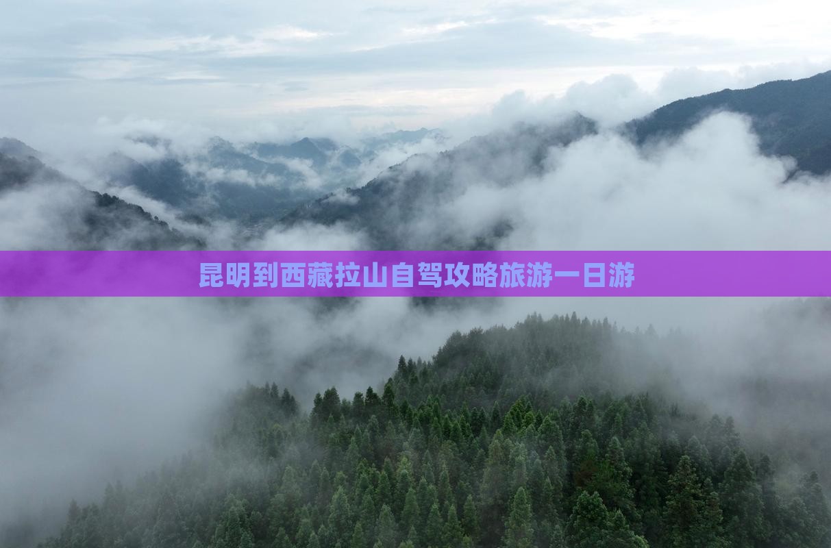 昆明到西藏色季拉山一日