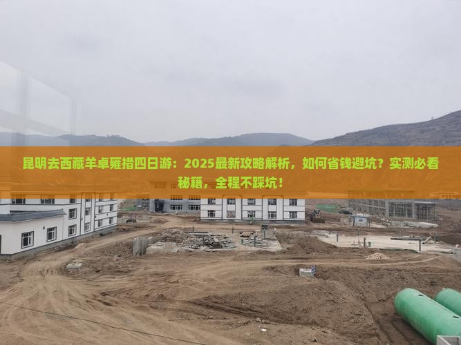 昆明去西藏羊卓雍措四日游
