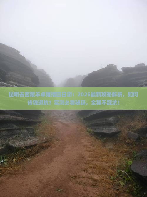 昆明去西藏羊卓雍措四日游