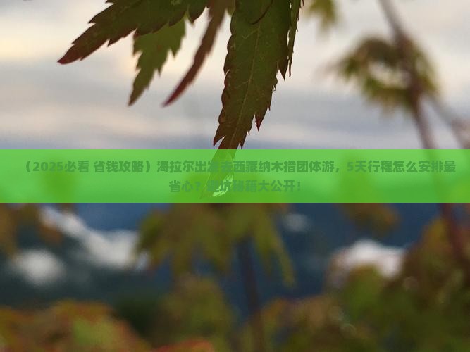 海拉尔去西藏纳木措团体旅游
