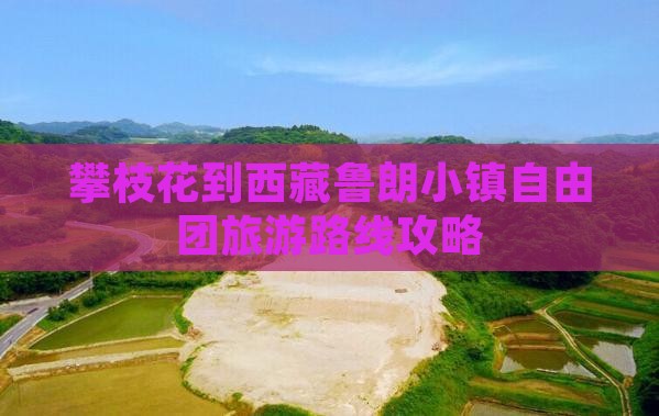 攀枝花到西藏鲁朗小镇自由团