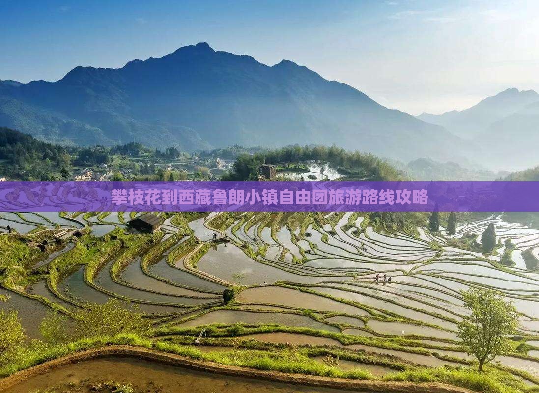 攀枝花到西藏鲁朗小镇自由团