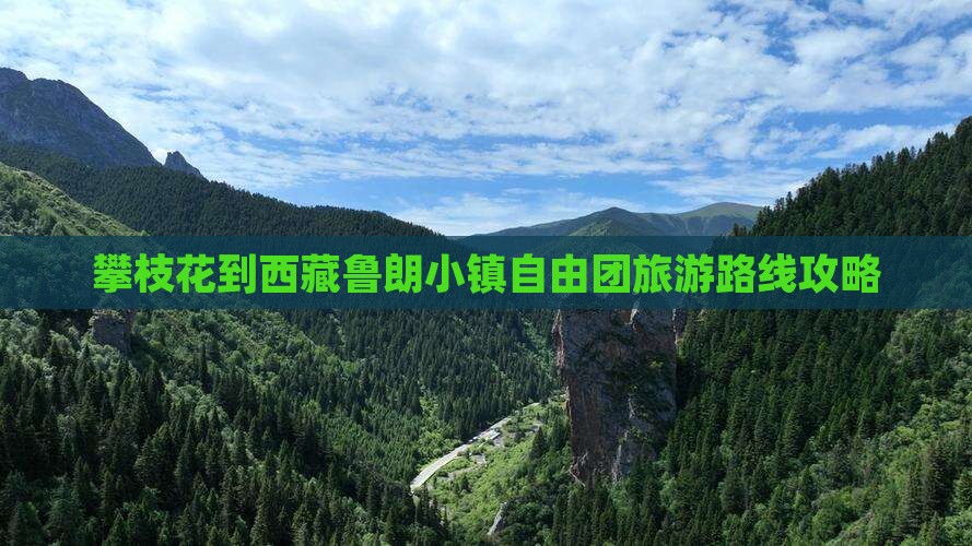 攀枝花到西藏鲁朗小镇自由团