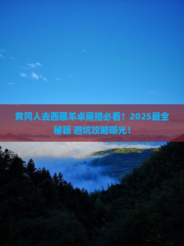 黄冈去西藏羊卓雍措必去地