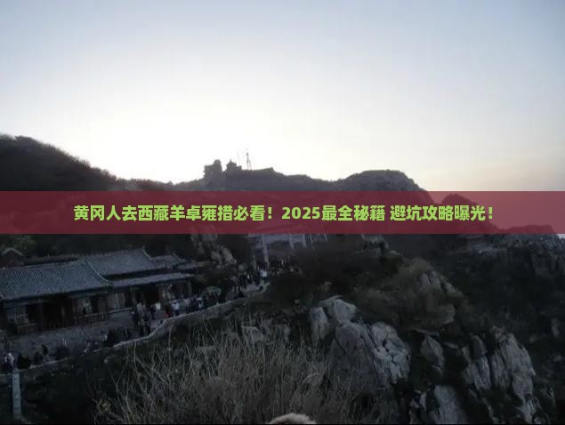 黄冈去西藏羊卓雍措必去地