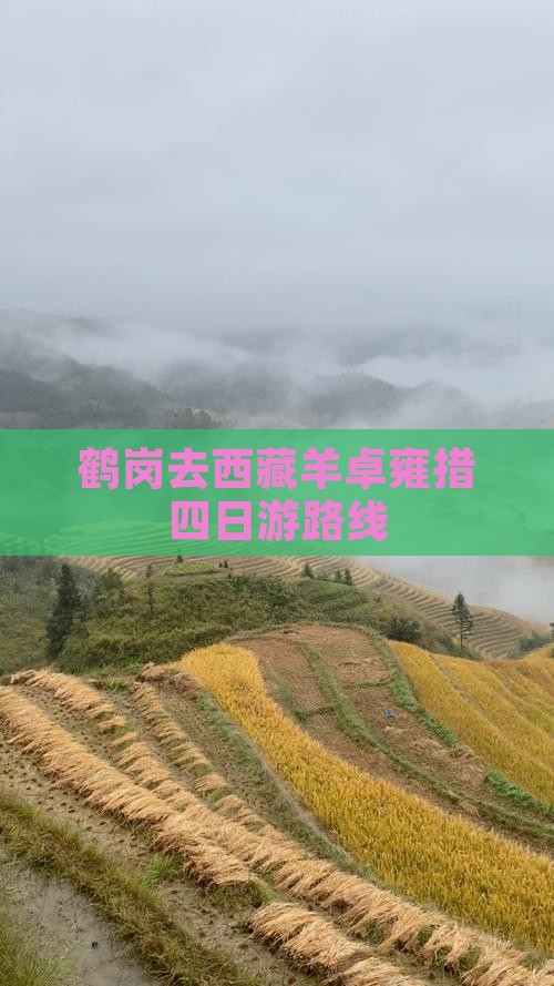 鹤岗去西藏羊卓雍措四日游