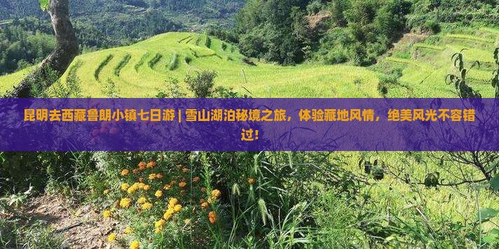 昆明去西藏鲁朗小镇七日游
