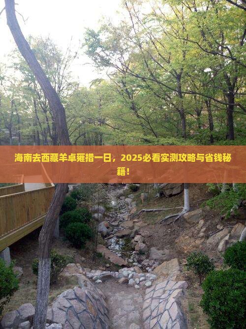 海南去西藏羊卓雍措一日