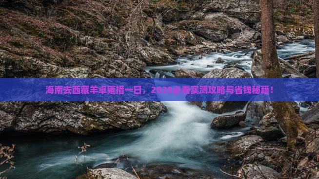 海南去西藏羊卓雍措一日