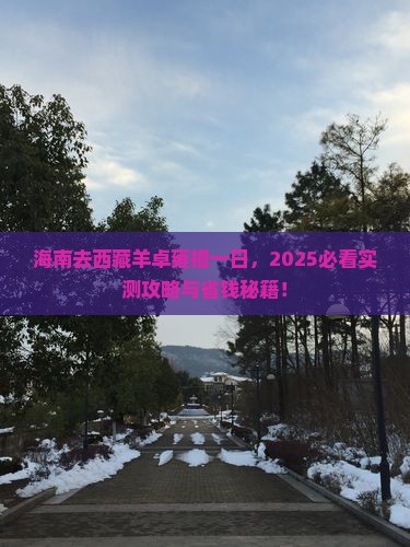 海南去西藏羊卓雍措一日