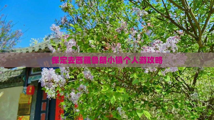 保定去西藏鲁朗小镇个人游